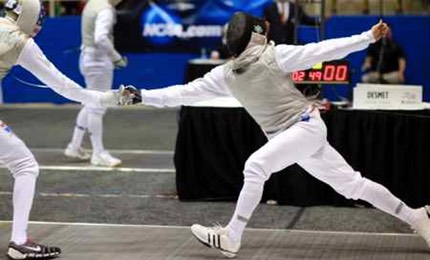 DeSmet lunge A450